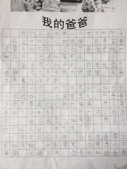 作文:我的爸爸