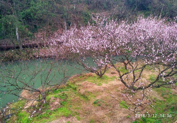 湖北最美乡村~黄石大冶保安镇沼山
