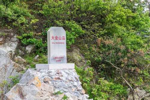 揭秘!大金山岛到底有什么