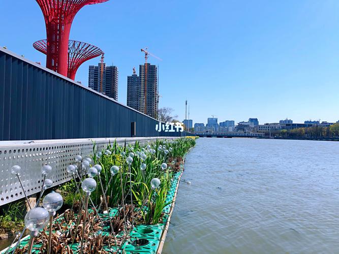 兴化昭阳湖公园_兴化市自由行热门攻略_兴化市昭阳湖公园_露营_馄饨