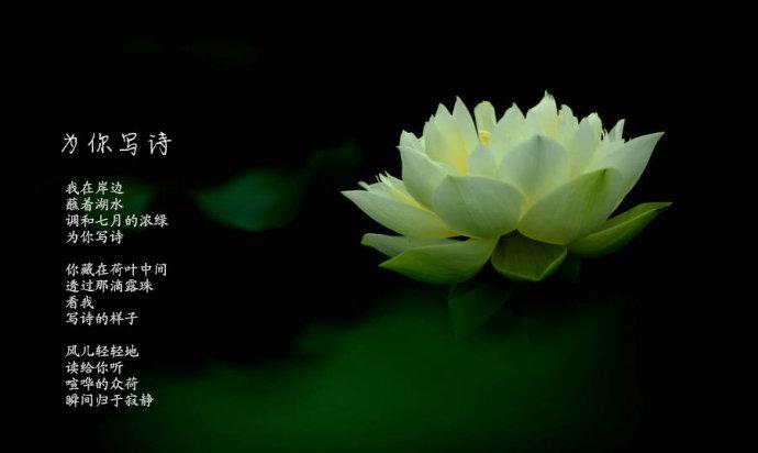 为你写诗