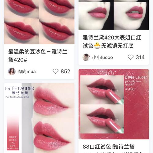 雅诗兰黛420 豆沙色鼻祖试色 7815今天上一个豆沙