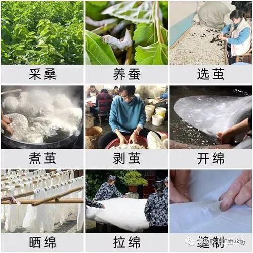 "蚕丝被"内幕被揭秘后,养蚕人这番话让人恍然大悟.