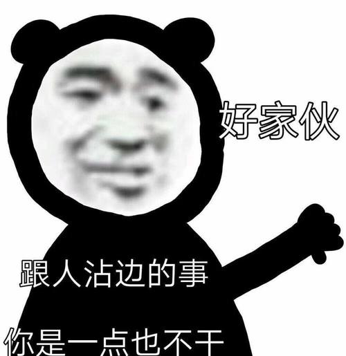 好家伙跟人沾边的事你是一点也不干沙雕熊猫头斗图表情包斗图表情