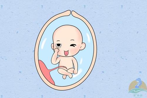 "常练旋风腿,胎宝身体棒",在妈妈腹中,胎儿每天都在干