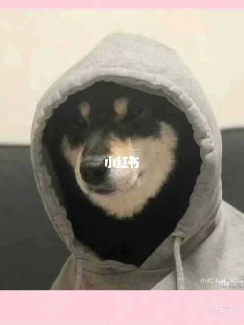 马嘉祺的六斤 刘耀文的土豆 宋亚轩的鼠标 严浩翔的十万 贺峻霖的富贵