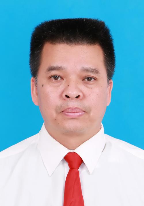 广西武宣县人民政府党组成员,副县长