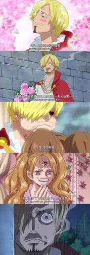 这会儿倒是想把布琳手撕了 不过听说漫画又洗白了 我觉得我山治的爱吖