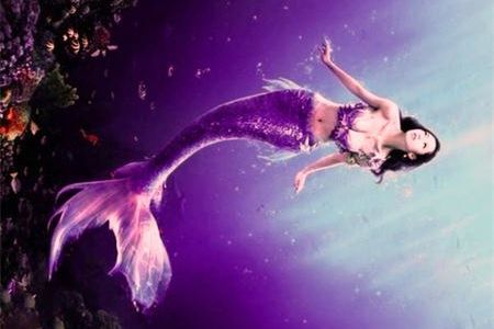 测试你是哪位人鱼公主