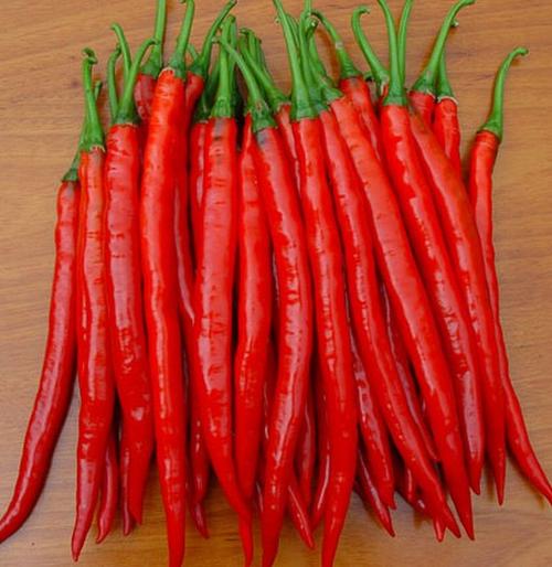 供应新鲜红辣椒