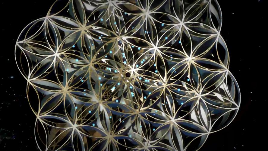 生命之花_3840x2160_高清视频素材下载(编号:1398594)