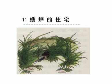 蟋蟀的住宅高级手抄报 手抄报简单又好看