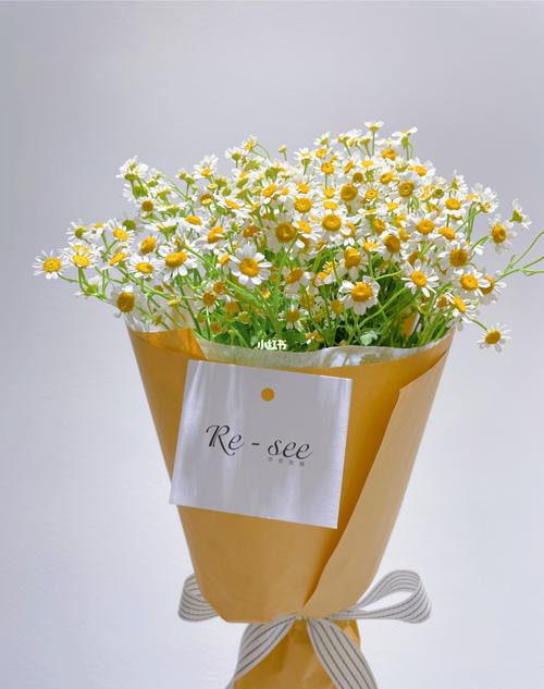 深圳花店 今日客单 90电影感洋甘菊花束_洋甘菊_花店_电影_花束