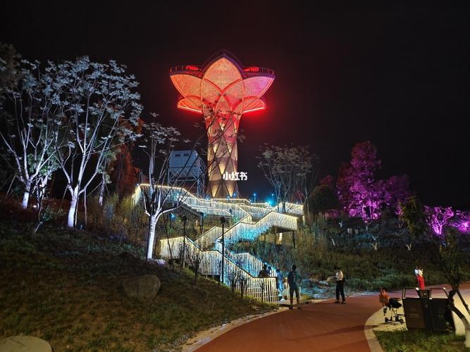 【达州夜景】莲花湖公园_夜景_莲花_出行_人文风光展示