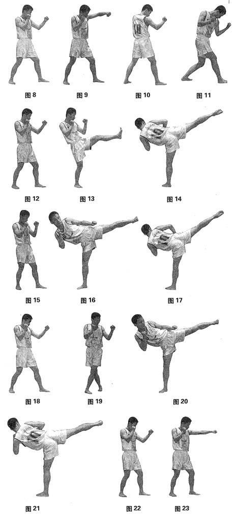 散打进攻组合及实战预备姿势的技术特征阐释