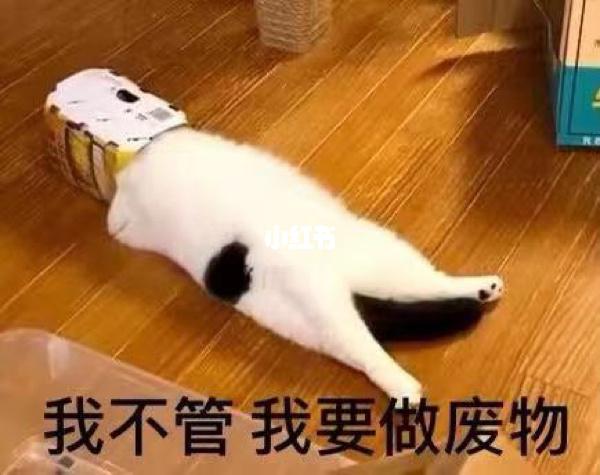 要累死_表情包_素材_素材_表情包