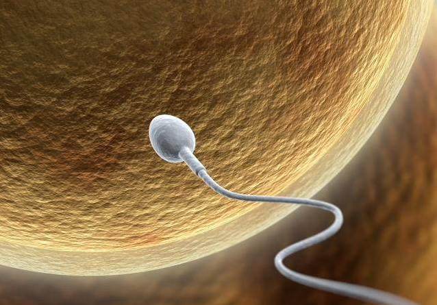 精彩小资讯 你好,一般精子可以在阴道内存活三天左右.