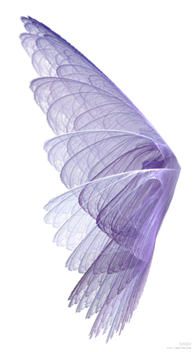 天使的翅膀羽毛高清免抠图(9张)_素材无忧,提供psd,ppt,doc,矢量,图标