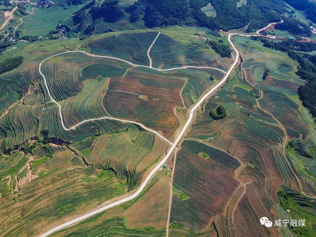 石门乡仰天窝马铃薯基地内的通组路和产业路