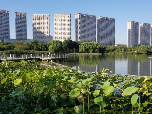 济宁任城生态湿地公园