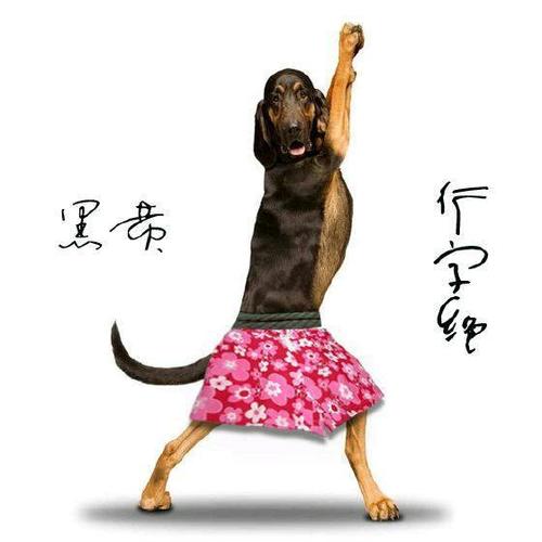 做人不能太段德,做狗不能太黑皇!