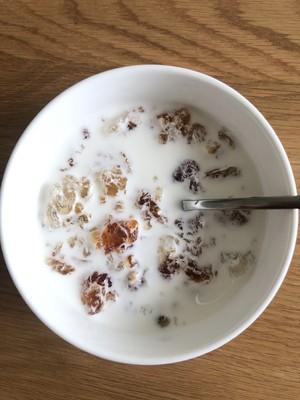 简单好吃的桃胶牛奶的做法 步骤4