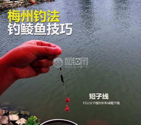 梅州钓法钓鲮鱼技巧分享