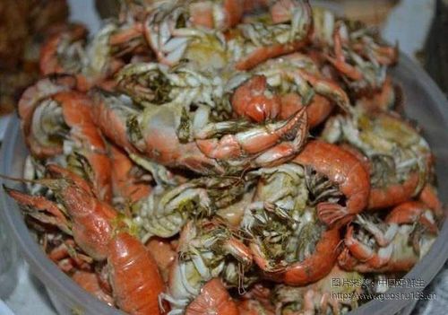 蝼蛄虾多少钱一斤 蝼蛄虾的功效与作用