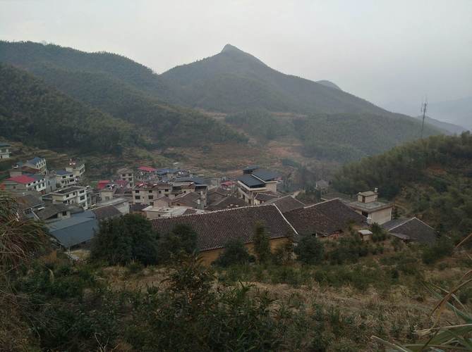 武夷山下__大坞村