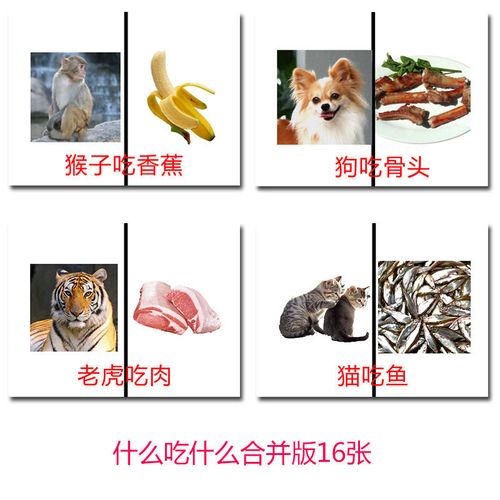 动物食物配对自闭症认知卡片孤独症语言表达康复训练