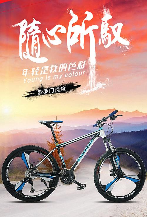 自行车海报 不一样的色彩