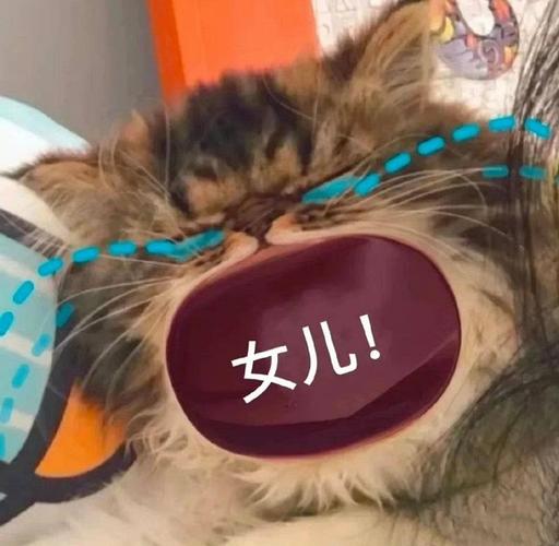 宝们!有谁存了那个张大嘴叫妈咪的表情包!