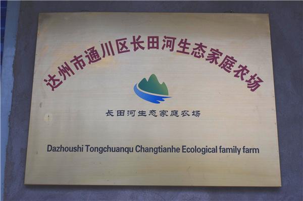 达州市通川区长田河生态家庭农场——创业示范,助力地方经济发展