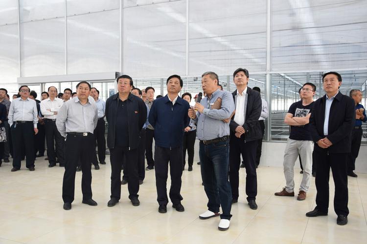 排名首位!渤海新区在沧州市项目观摩中再获佳绩