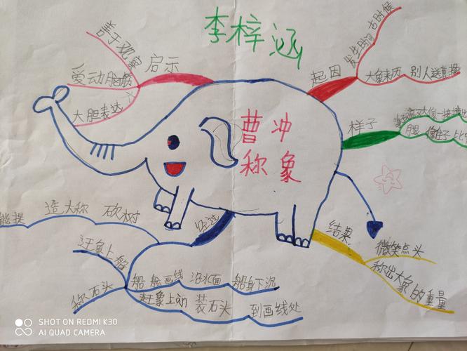 附小二二班《曹冲称象》思维导图作业展示