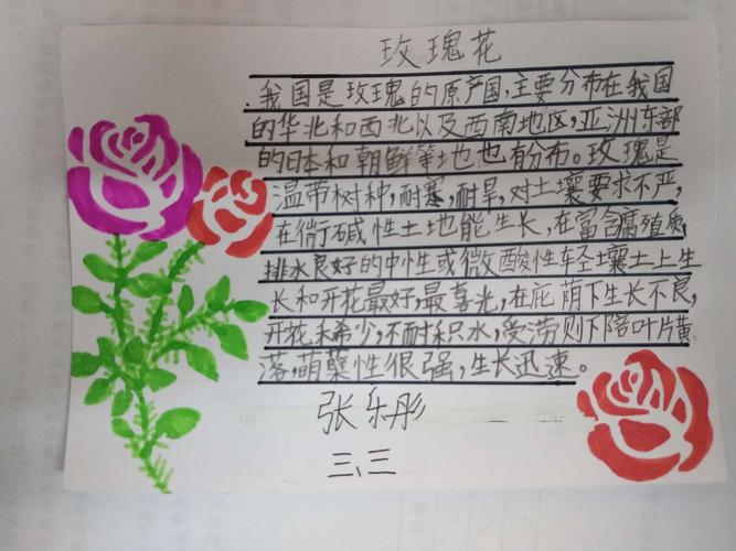 三年级三班语文实践作业——小小植物记录卡