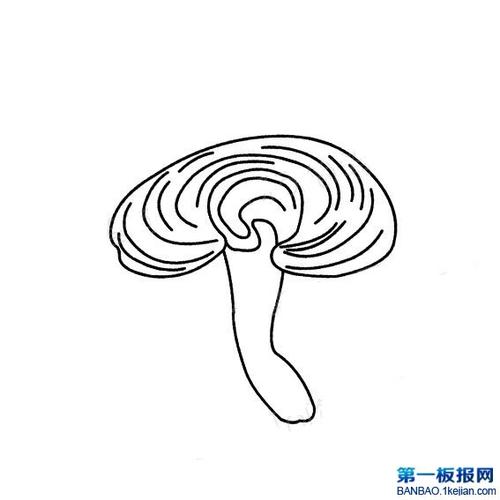 灵芝简笔画