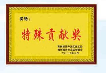 特殊贡献奖