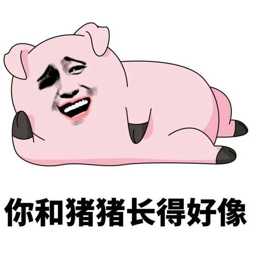 你到底爱不爱猪猪嘛(粉色猪头表情包)