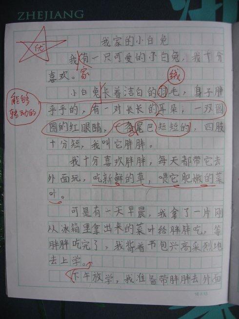 《我家的小白兔》(李怡希)