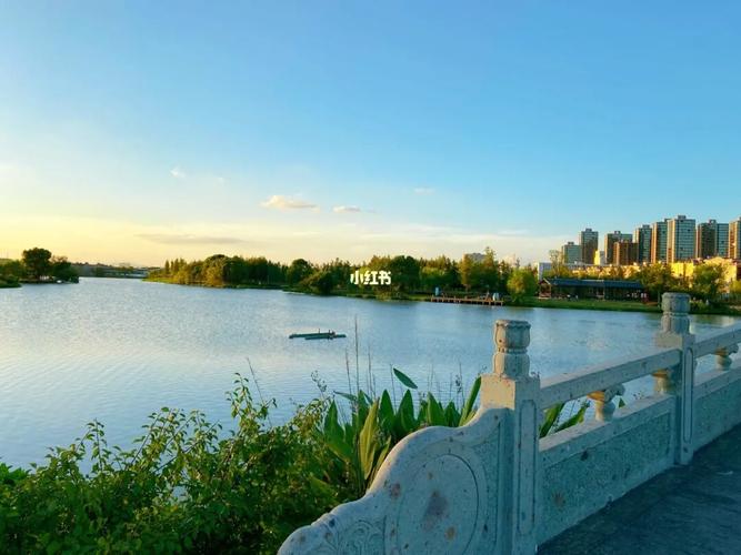 九龙湖生态公园是真的美_九龙湖生态湿地公园攻略_避暑_夏天去哪玩