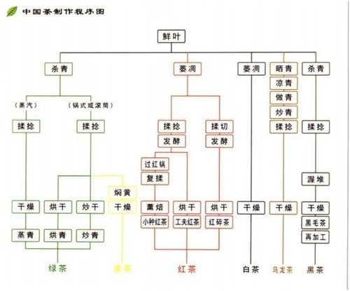 六大茶类的制作工序