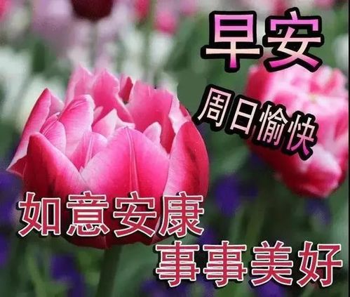 早上好周末精美的动态图片带字早安祝福语早上好图片带字带祝福语