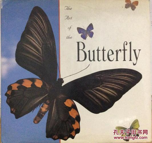the art of the butterfly
