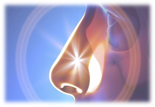 鼻炎鼻子里面长满了,鼻炎引起鼻子长肉