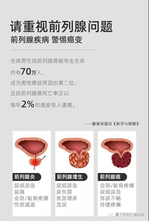 前腺卫士前列腺炎调理保健红外线磁疗按摩热敷热疗仪
