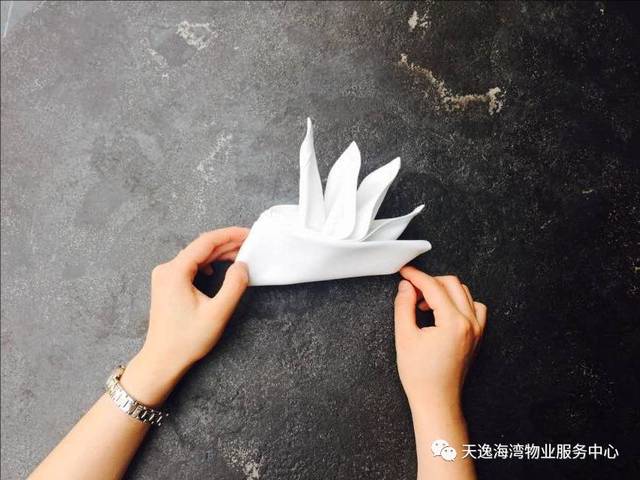 2  帆船 这款口布象征着自由以及迎风启航,无所畏惧.