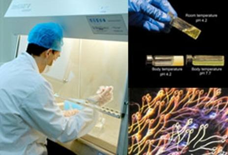 精子染色体检查