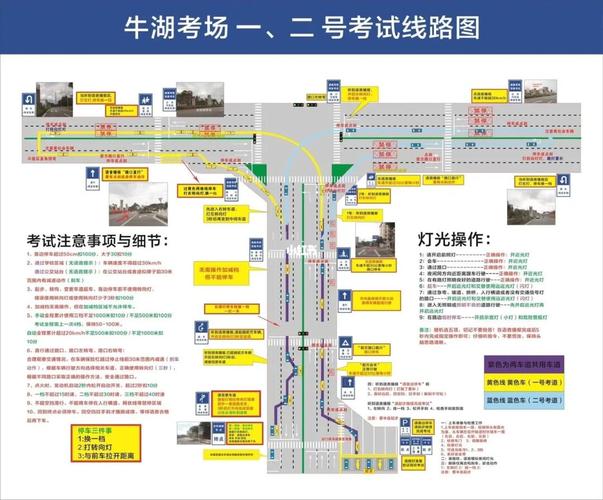 深圳牛湖科目三/东周科目四/终于拿到驾照啦_科目三_驾照_方向盘_科目