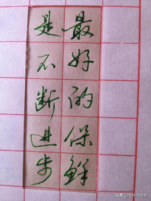 钢笔行书欣赏19